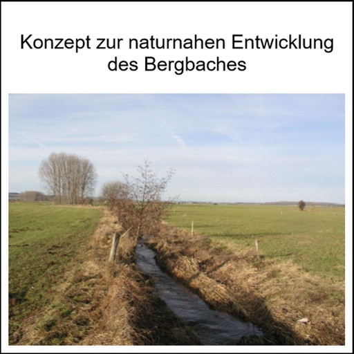 Konzepte zur naturnahen Entwicklung von Fließgewässern (KNEFs)