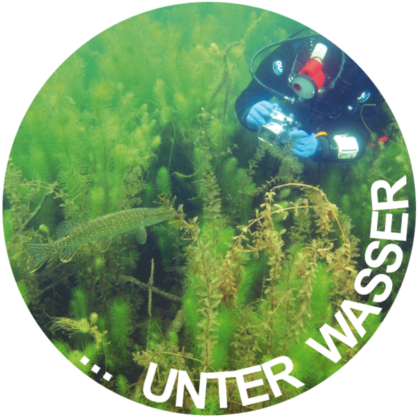 DIE GEWÄSSER-EXPERTEN! - unter Wasser